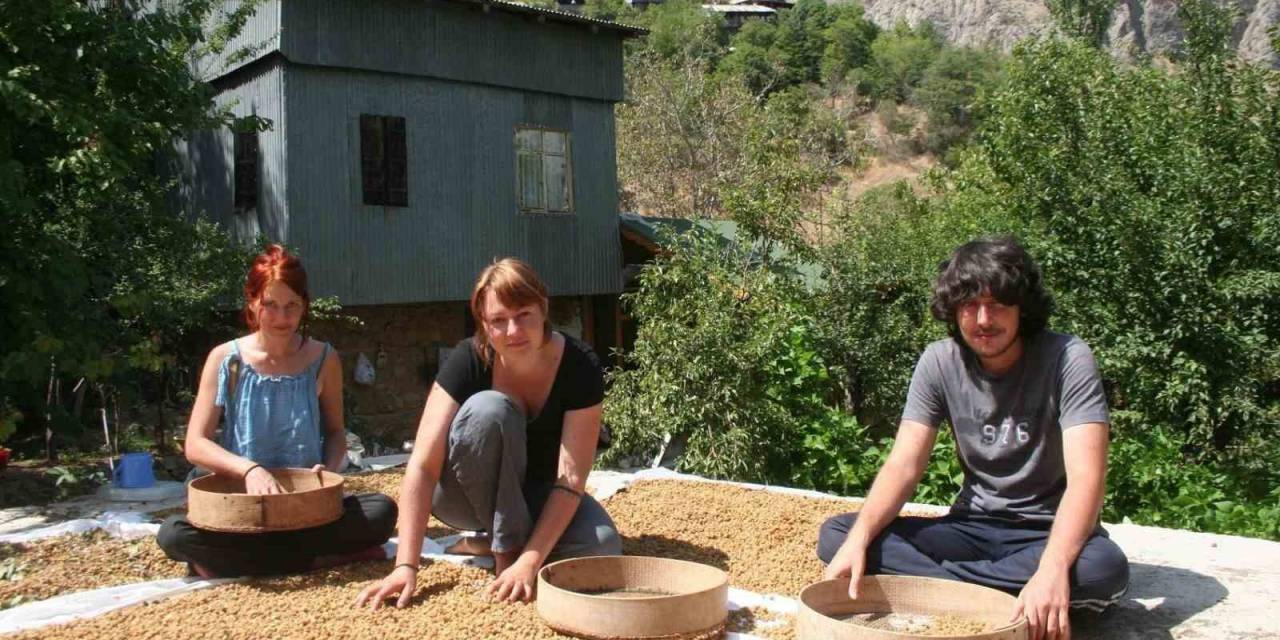 Çiftlikte Çalışarak Tatil