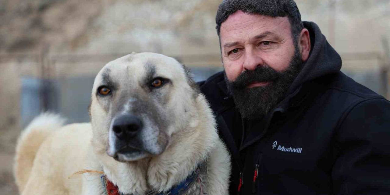 Sınır Ötesi Güvenliği İçin Kangal Tavsiyesi