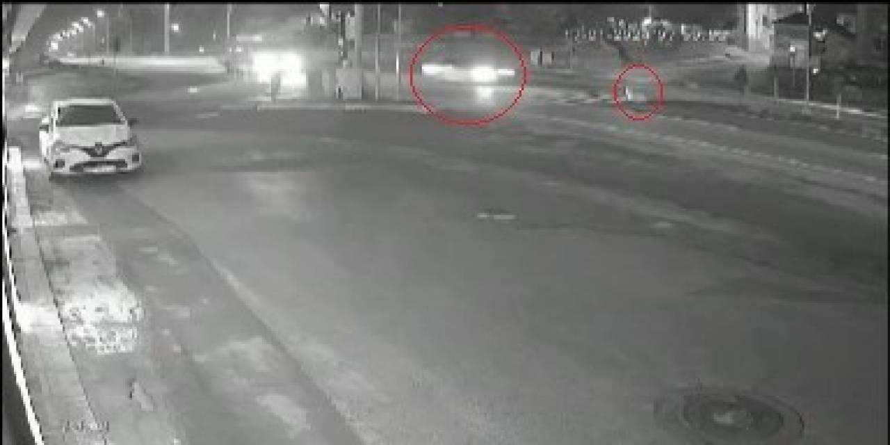 Otomobilin Köpeğe Çarptığı Kaza Kamerada