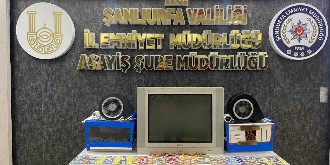 Şanlıurfa’da Kumar Operasyonu