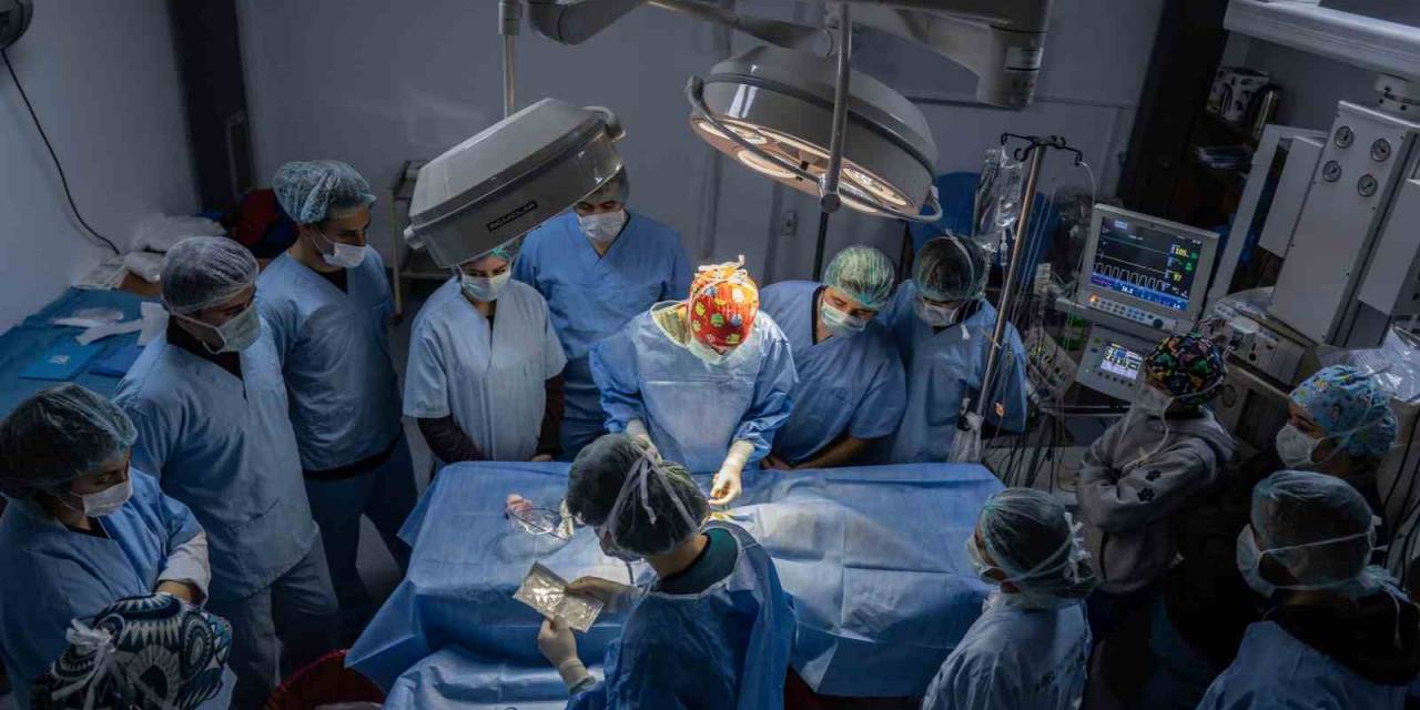 Hayvan Hastanesi’nde ’online Randevu’ Dönemi