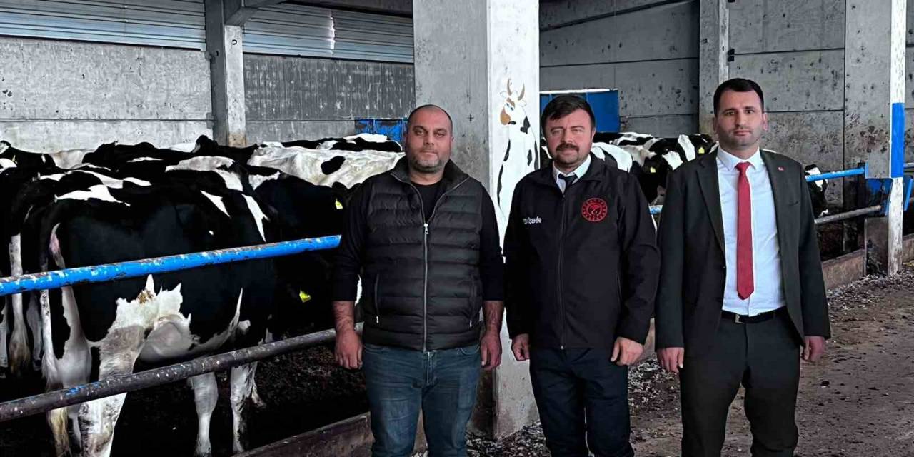 Eskişehir Damızlık Sığır Yetiştiriciler Birliği’ne ’hastalıktan Ari İşletme Sertifikası’