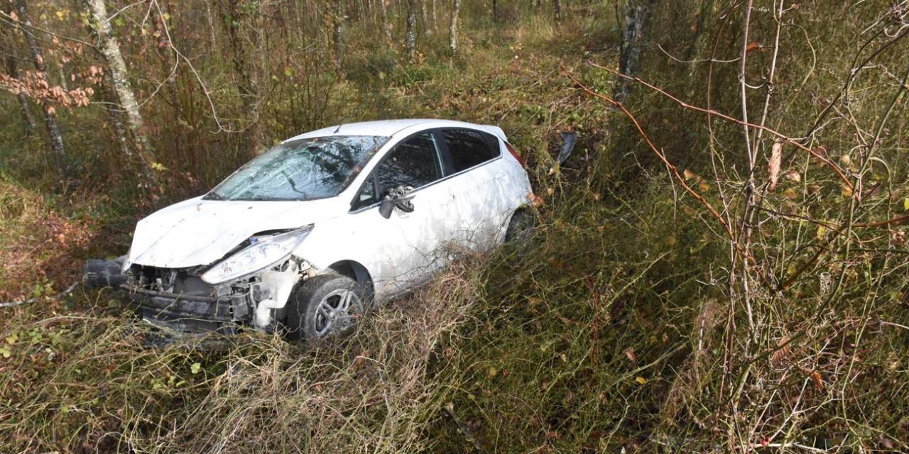 Otomobil Ormana Uçtu: 1 Yaralı