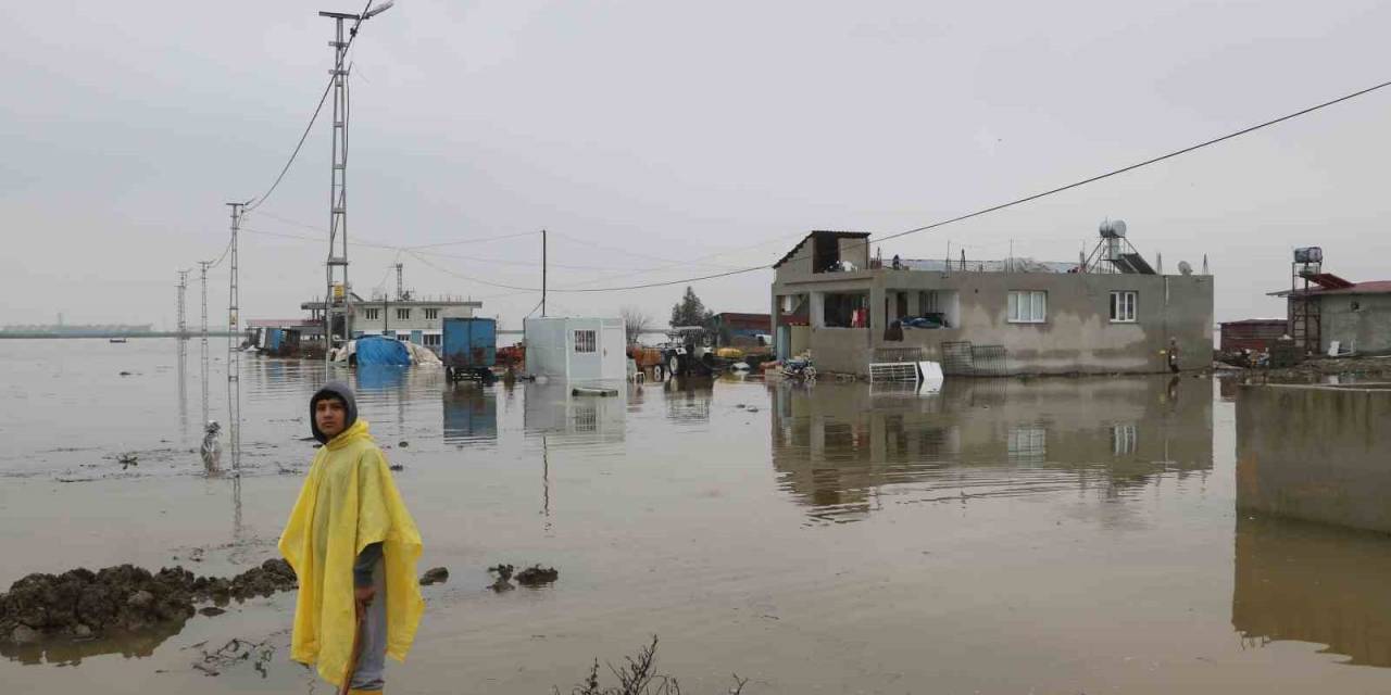Göle Dönen Amik Ovası’nda Evler Ve Ahırlar Su İçerisinde Kaldı