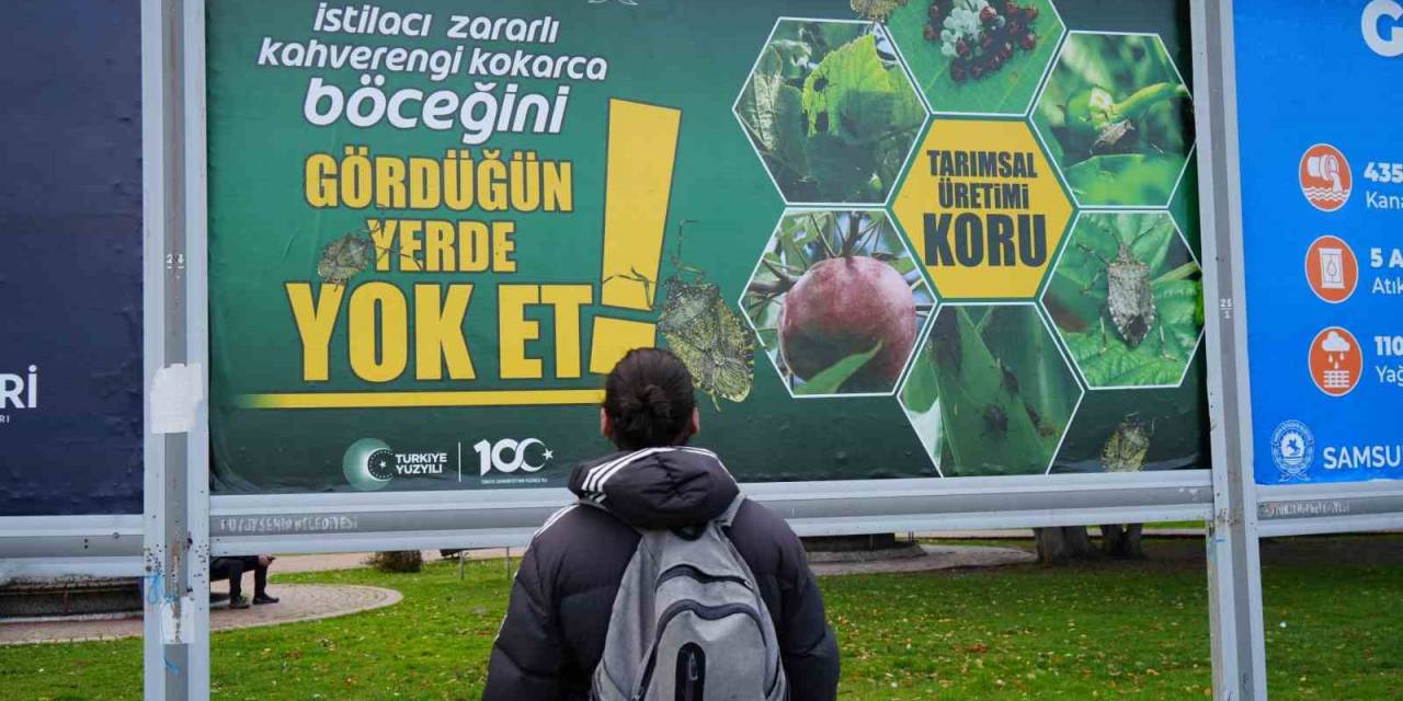 Kahverengi Kokarcayla Mücadele Billboardlarda: “Gördüğün Yerde Yok Et”