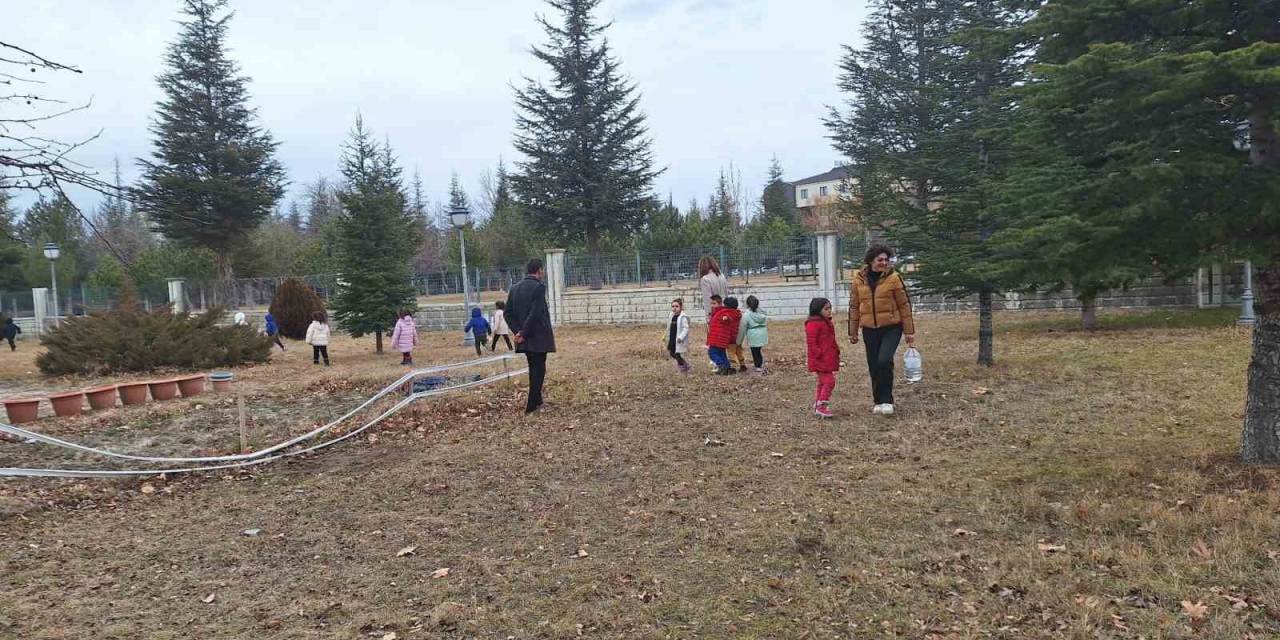 Minik Öğrenciler Sokak Hayvanlarına Mama Bıraktı