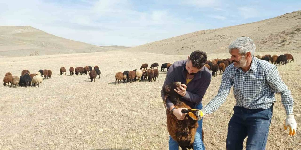“Köyümde Yaşamak İçin Bir Sürü Nedenim Var”  Projesi Yeniden Başladı