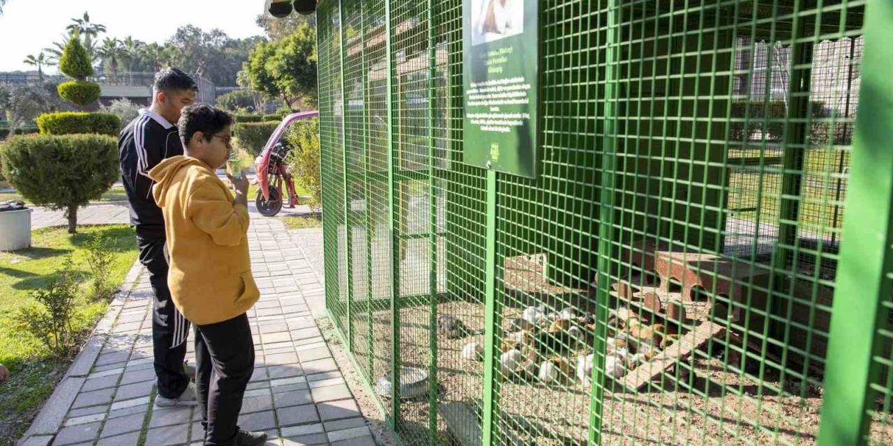 Tarsus Doğa Parkı Son Bir Yılda 400 Bin Ziyaretçi Ağırladı