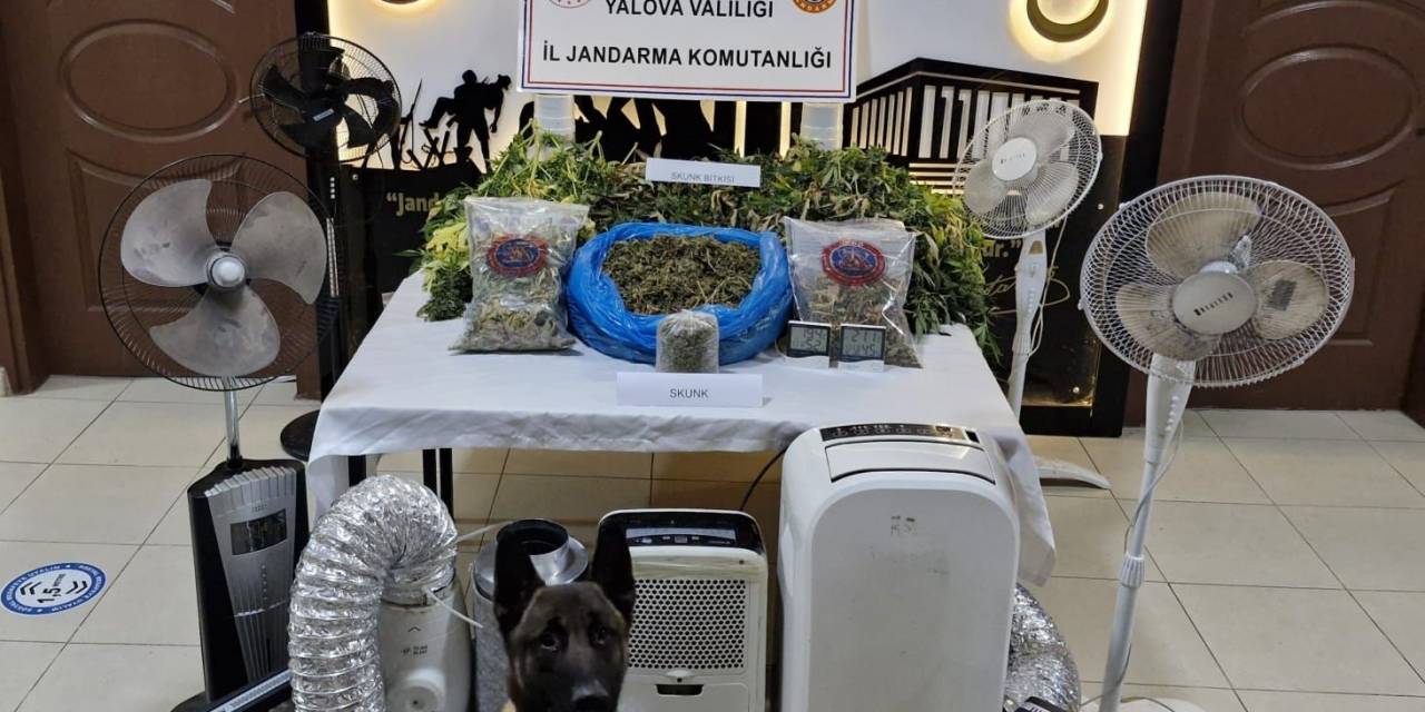 Yalova’da Uyuşturucu Üretilen Villaya Operasyon