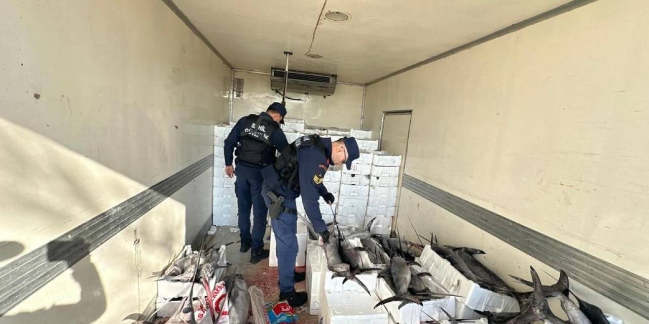 Sahil Güvenlik Operasyonunda Avlanması Yasak Mavi Yüzgeçli Orkinos Balığı Yakalandı