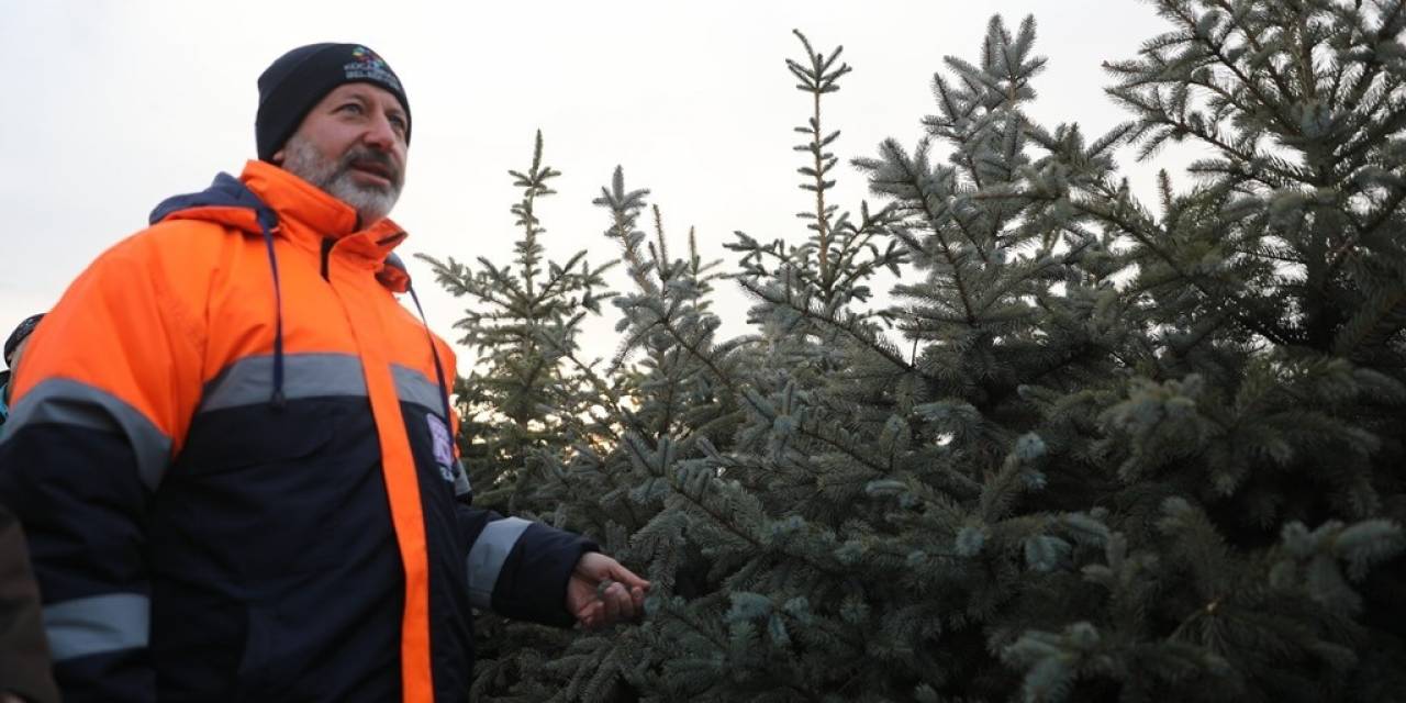 Türkiye’nin En Büyük Üretim Ve Lojistik Üssü Fidanlığı Kocasinan’da