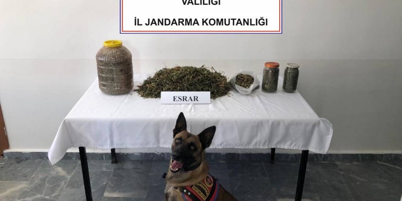 Jandarma 1 Kilo 868 Gram Esrar Ele Geçirdi