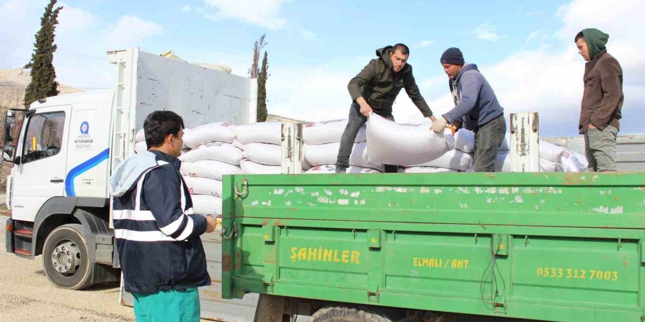 Elmalı’da 7 Üreticiye 210 Çuval Yem Desteği Sağlandı