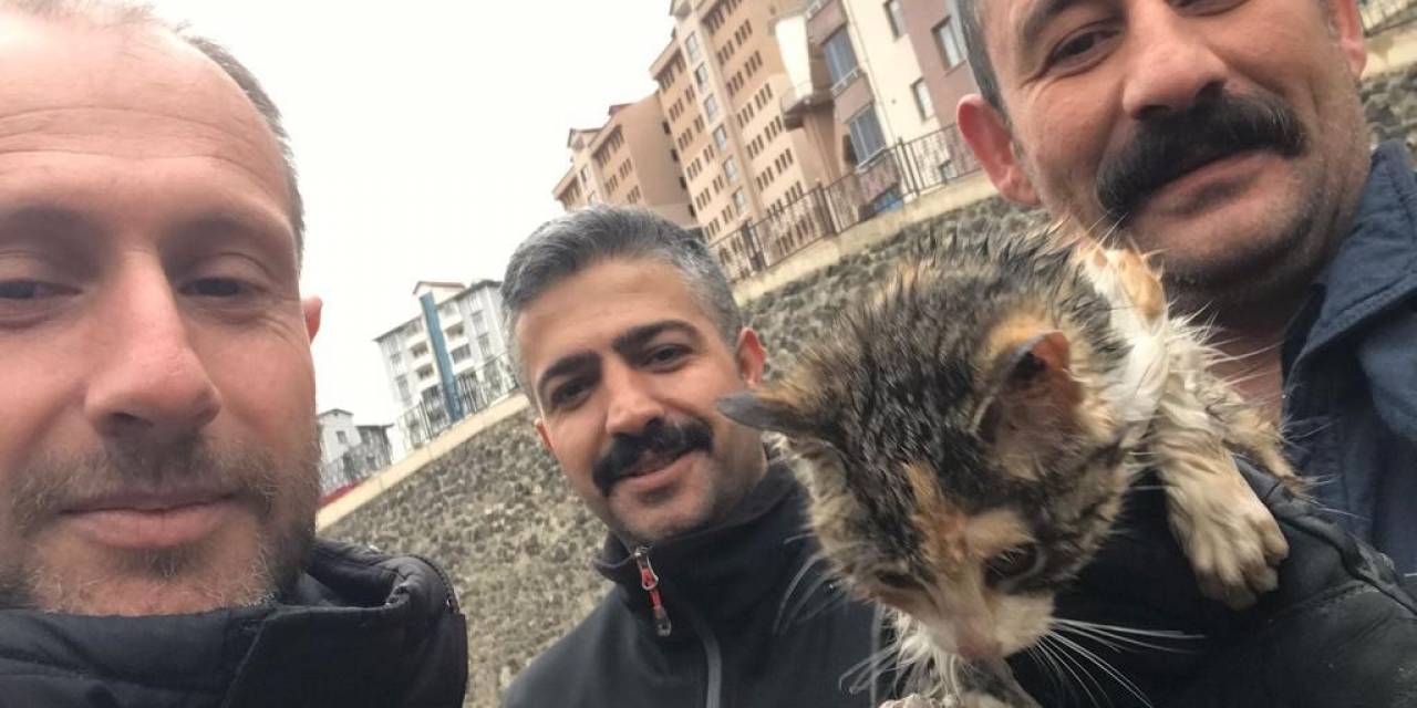 Harşit Çayı’na Düşen Yavru Kediyi İtfaiye Ekipleri Kurtardı