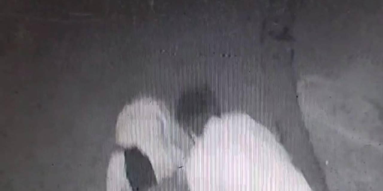 Öldürmeden Önce "Sen Kafirsin" Diye Bağırmış