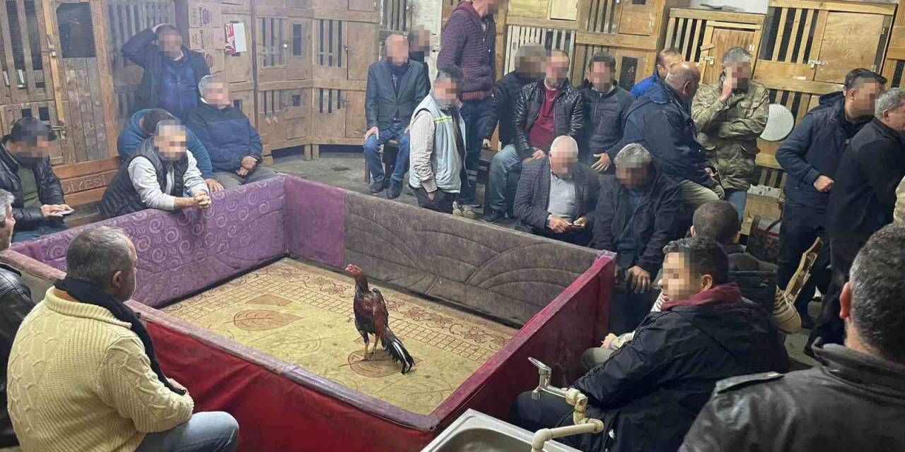 Horoz Dövüşüne Polis Baskını