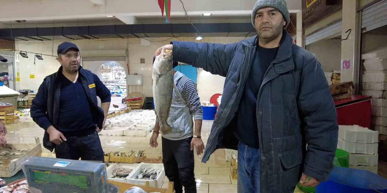 Ocak Ayında Tezgahlarda Levrek Bereketi