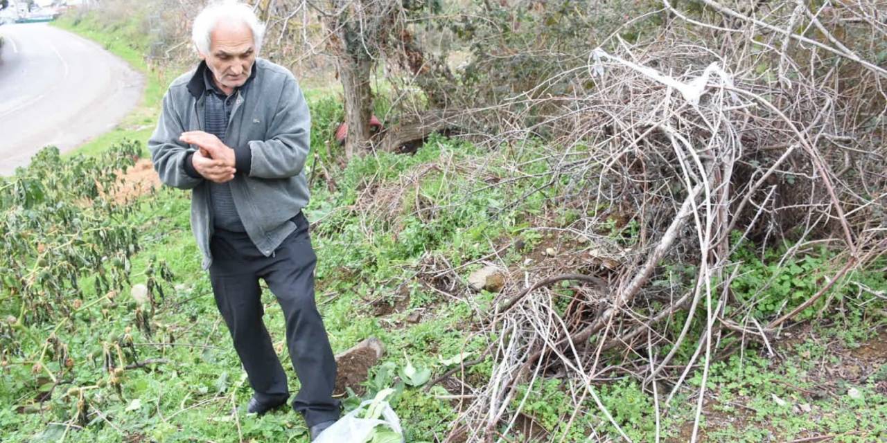 Emeklinin Doğa Tutkusu: Yenilebilen Otları Toplayarak Sağlıklı Yaşamı Destekliyor