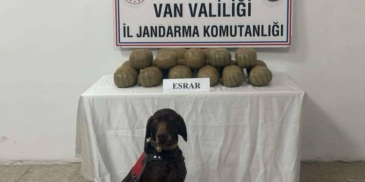 Van’da 50 Kişi Yakalandı