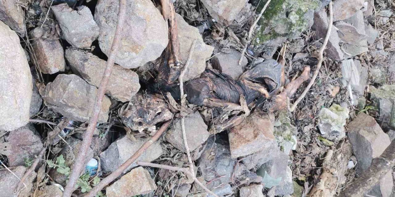 İzmir Tarihi Asansör Yakınında İnsan Kemikleri Bulundu