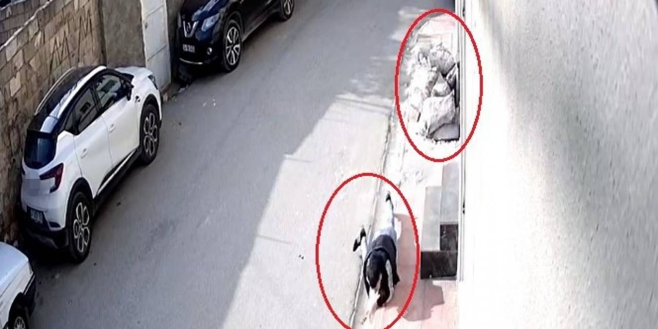 Mardin’de Cep Telefonu Kapkaççılığı Güvenlik Kamerasında