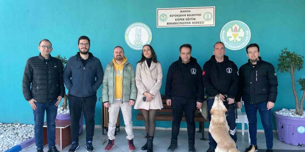 Trüf Mantarını Eğitimli Köpekler Bulacak