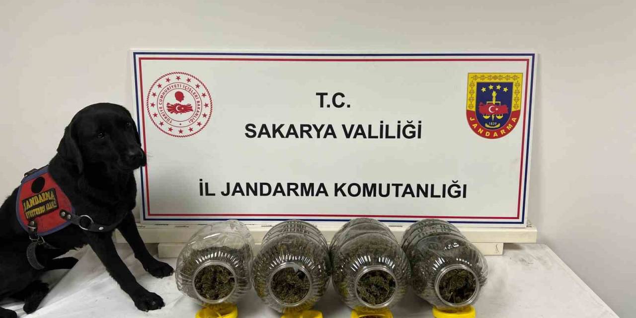 Sakarya’da Jandarma Suça Geçit Vermiyor: 6 Tutuklama
