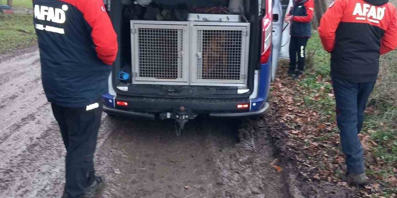 Çatalca’da Alabora Olan Teknede Suya Düşen 1 Kişi İçin Arama Çalışmaları Sürüyor