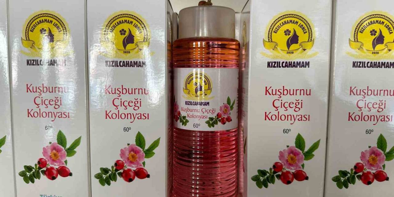 Kızılcahamam’da Çamdan Sonra Kuşburnunun Da Kolonyası Yapıldı