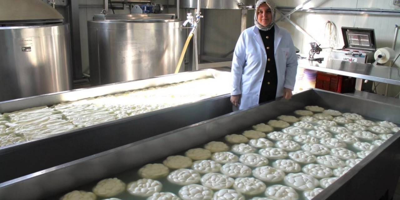 Başvurular 19 Şubat’ta Son