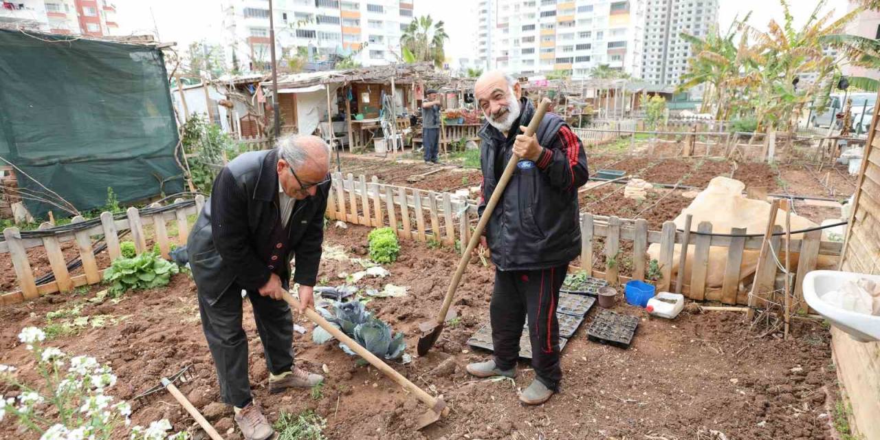 Mezitli’nin ’hobi Bahçeleri’ne Büyük İlgi