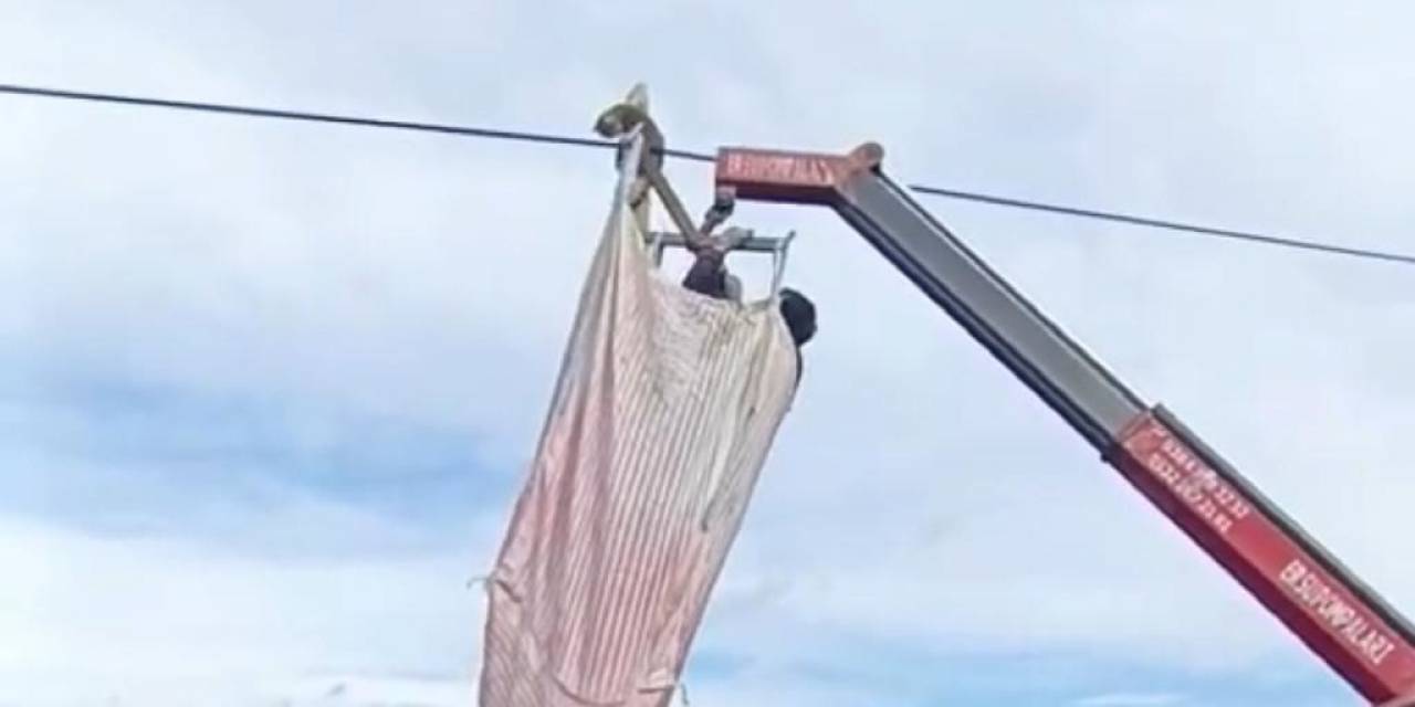 Telefon Direğinde Mahsur Kalan Kediyi Köylüler Kurtardı