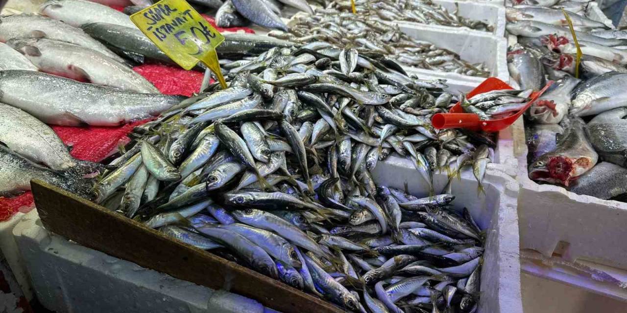 Havalar Soğudu, Balığa Olan İlgi Arttı