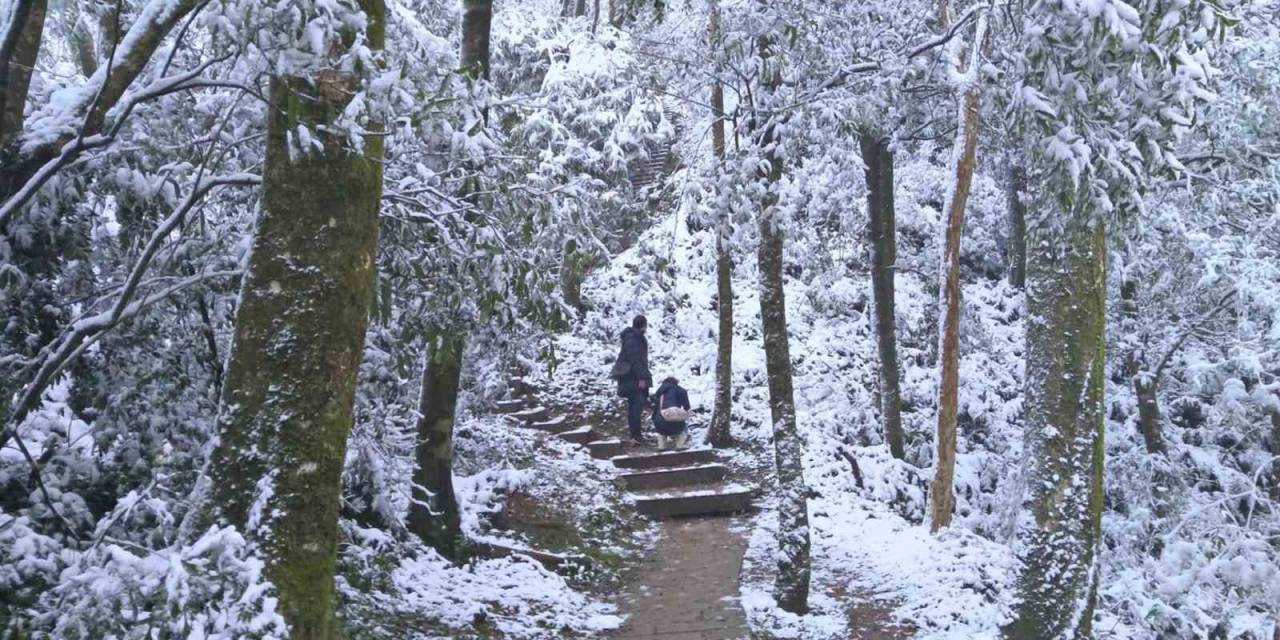 Tayvan’da Soğuk Hava Dalgası: 2 Günde 145 Kişi Öldü
