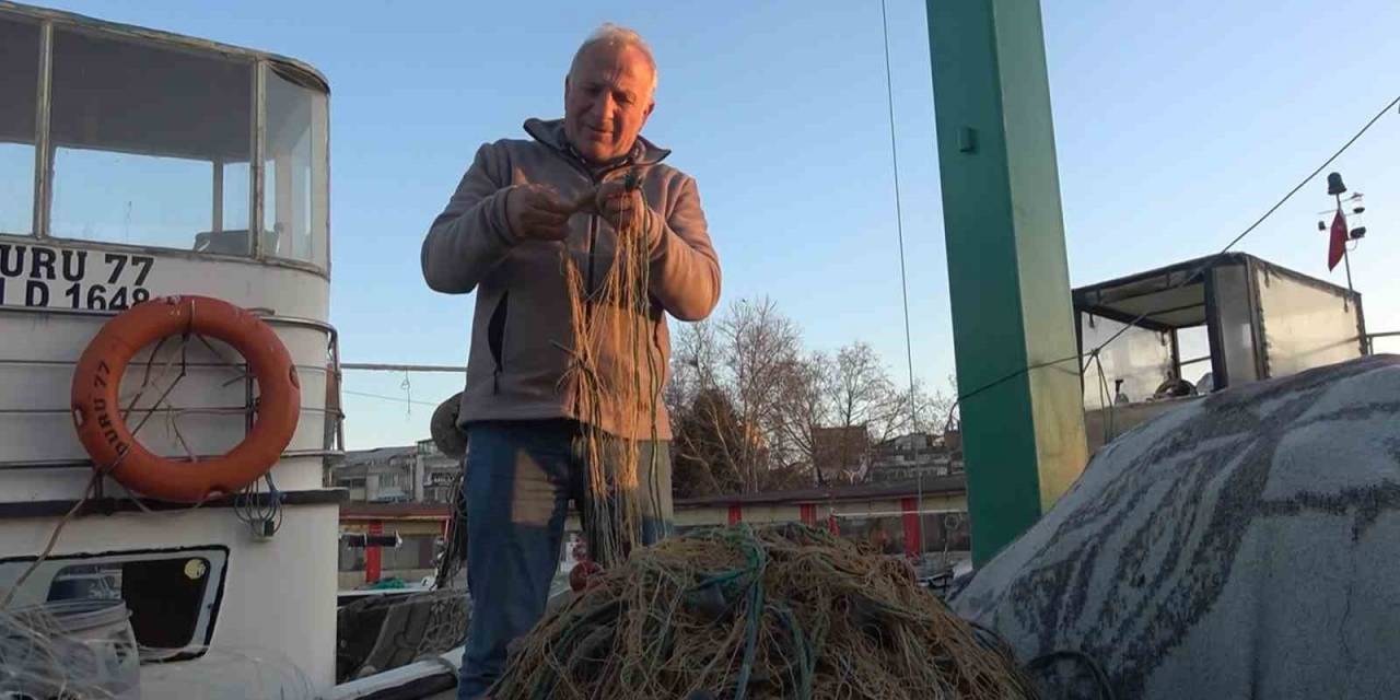 Rotayı Marmara’ya Çeviren Balon Balığı Balıkçıları Endişelendirdi