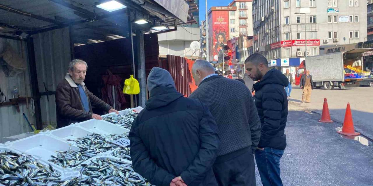 Balık Tezgahlarında İstavrit Bolluğu Yaşanıyor