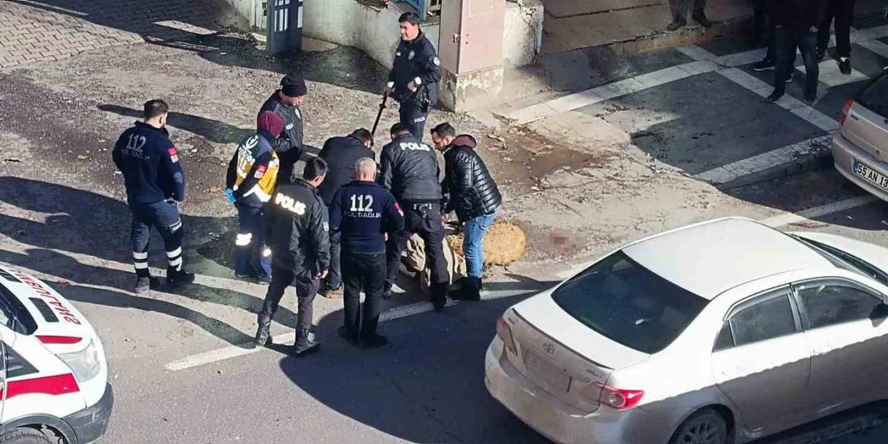 Koyunları Ölen Adam Kendini Yakmaya Çalıştı