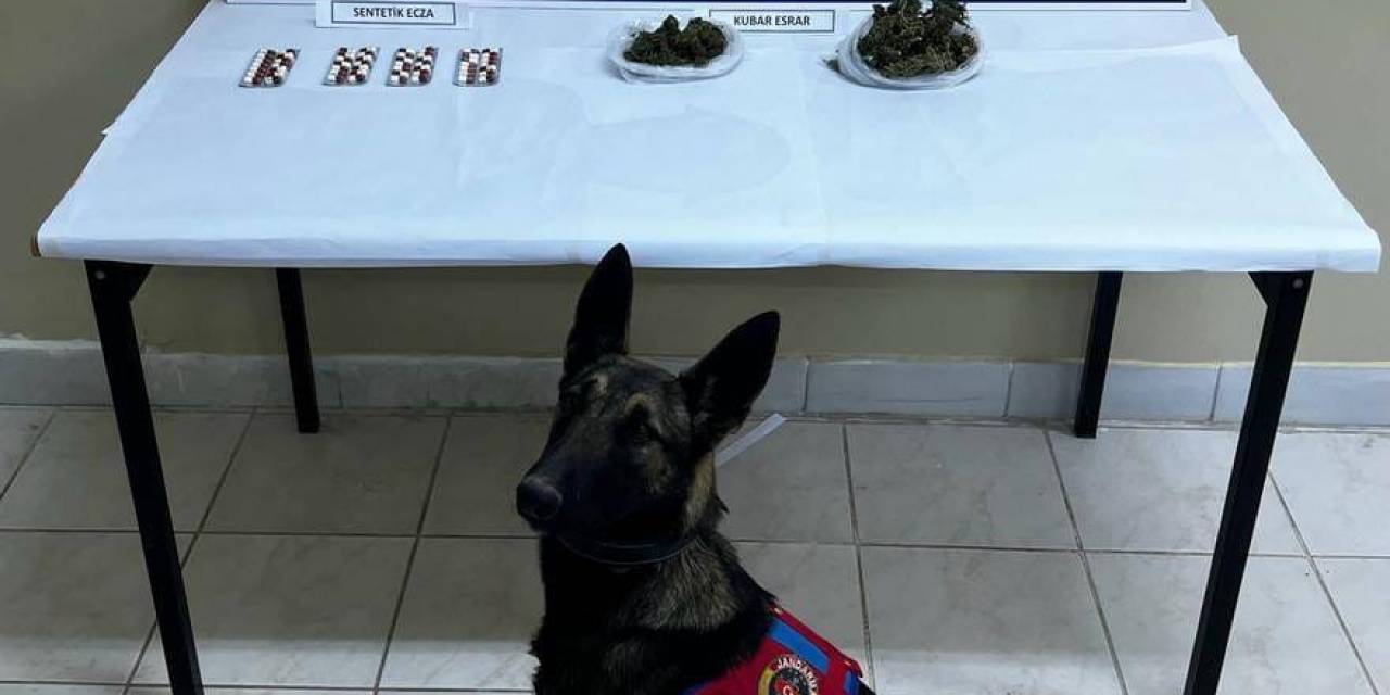 Narkotik Köpeği İle Arama Yapılan Araçta Uyuşturucu Ele Geçirildi