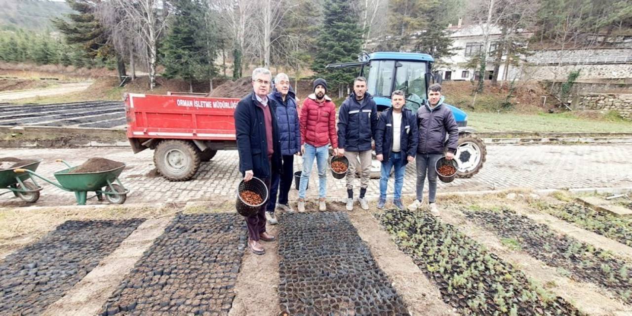 Amasya’da Ormancılık Faaliyetlerine 152 Milyon Tl’den Fazla Yatırım Yapıldı