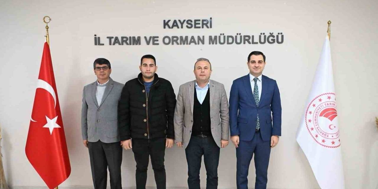 Tomarza’nın Kabak Çekirdeğinin Pazarı Genişleyecek