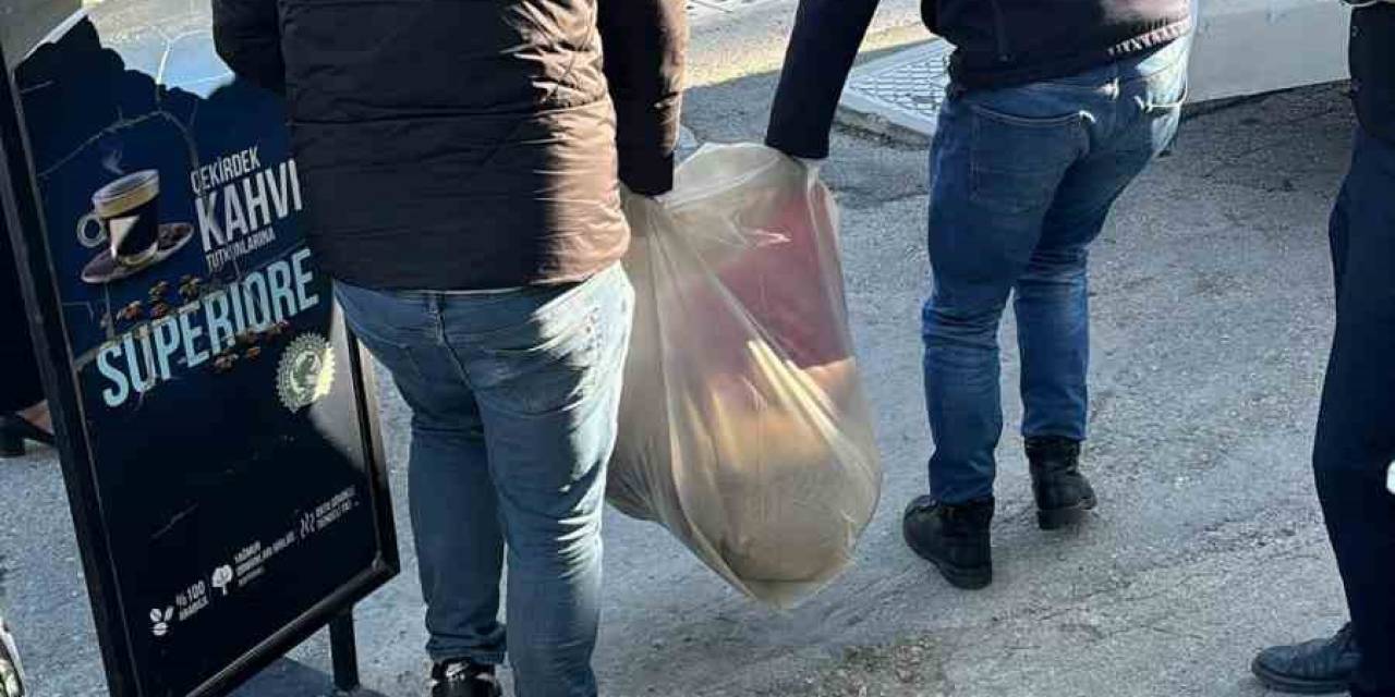 İzmir’de 3 Köpek Telef Oldu, 2 Köpek Tedaviye Alındı