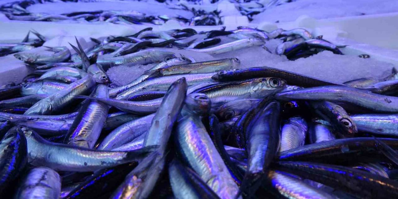 2 Günlük Av Yasağı Hamsiye Yaradı, İrileşen Hamsi Tezgâhlarda Tekrar Yerini Aldı