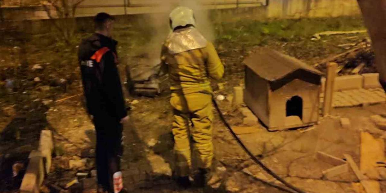 Bahçe Yangınında "Köpek" Paniği