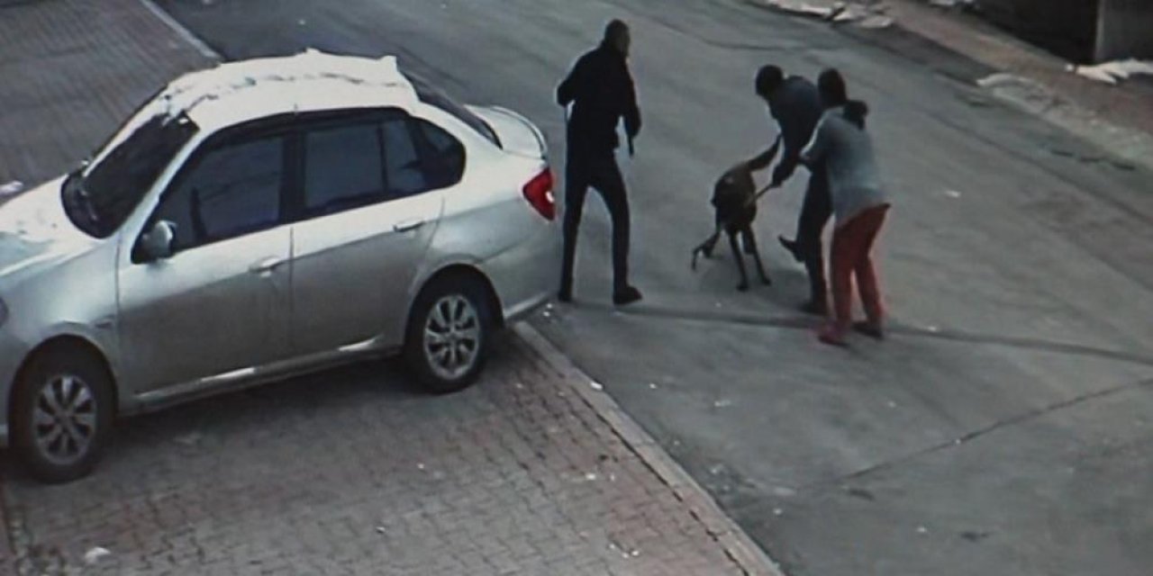 Tasmalı Köpek Dehşet Saçtı, 2’si Çocuk 4 Kişiyi Yaraladı