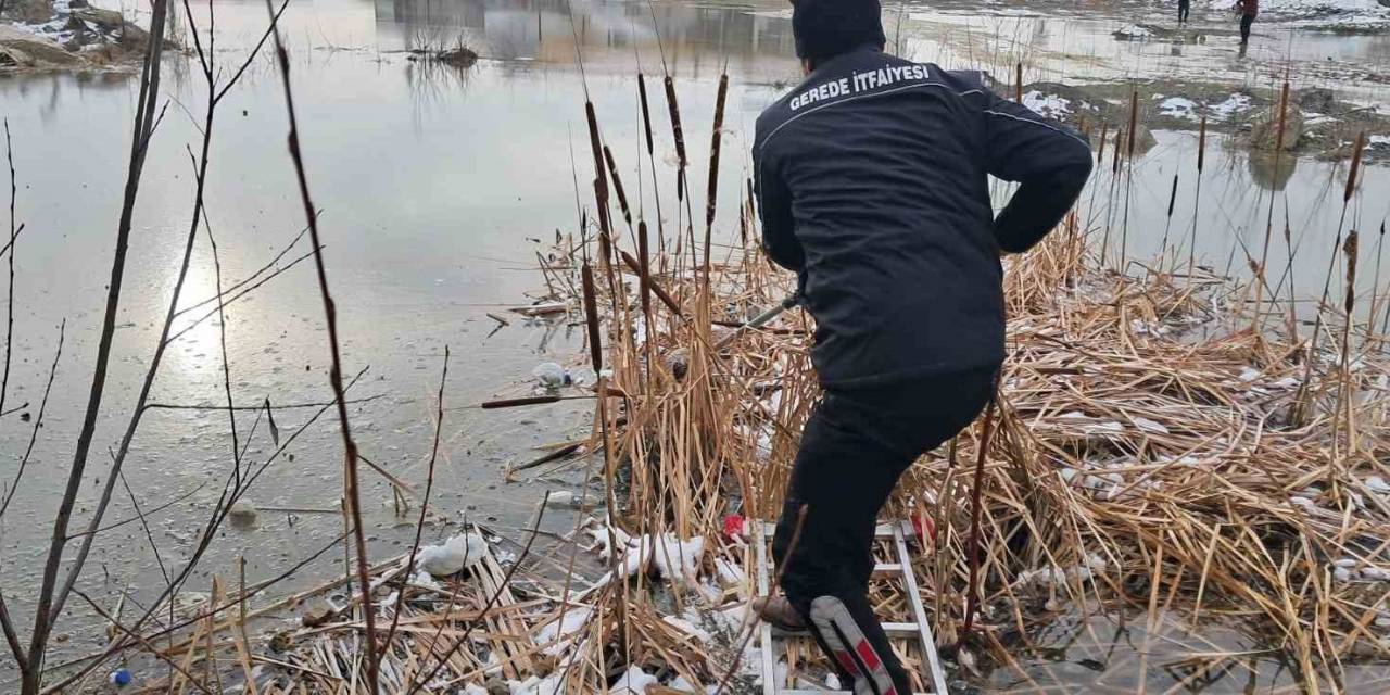 Mahsur Kalan Yavru Köpeklerin İmdadına İtfaiye Yetişti