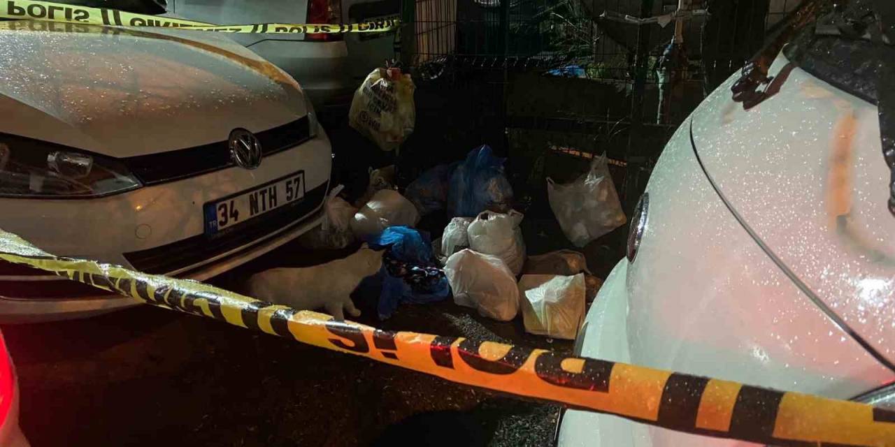 Sarıyer’de Çöp Konteynerinde Yeni Doğmuş Bebek Bulundu