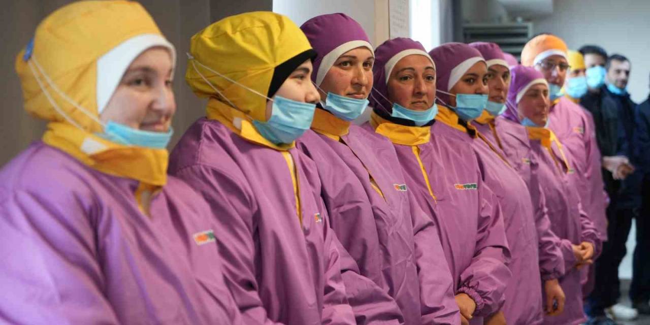 Tavuğun Ustalarına Milli Eğitim Bakanlığı’ndan Sertifika