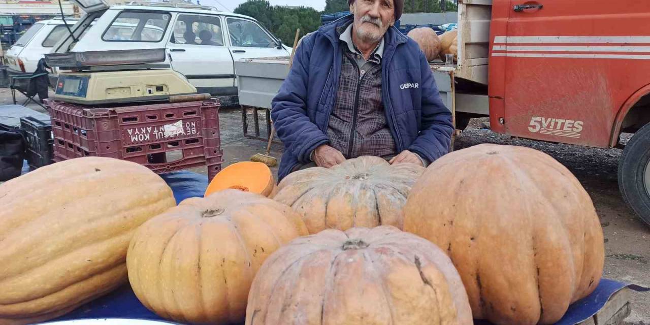 71 Yaşında Ekmeğinin Peşinde