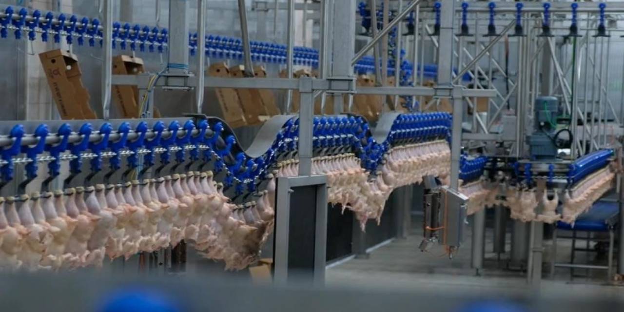 Güven Endeksi Perakende Ticaret Sektöründe Azaldı