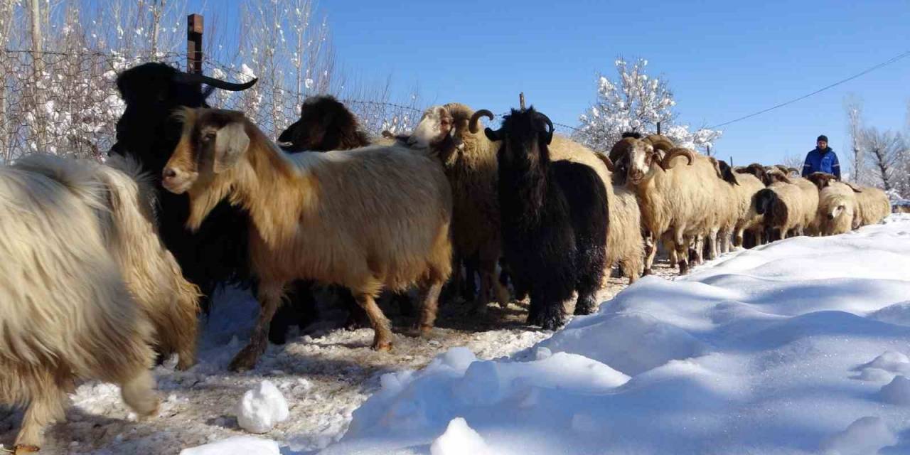 Besicilerin Zorlu Kış Mesaisi Başladı
